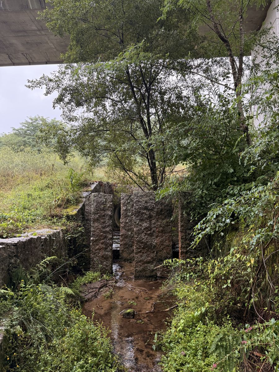 Old stone ruins along the Camino trail