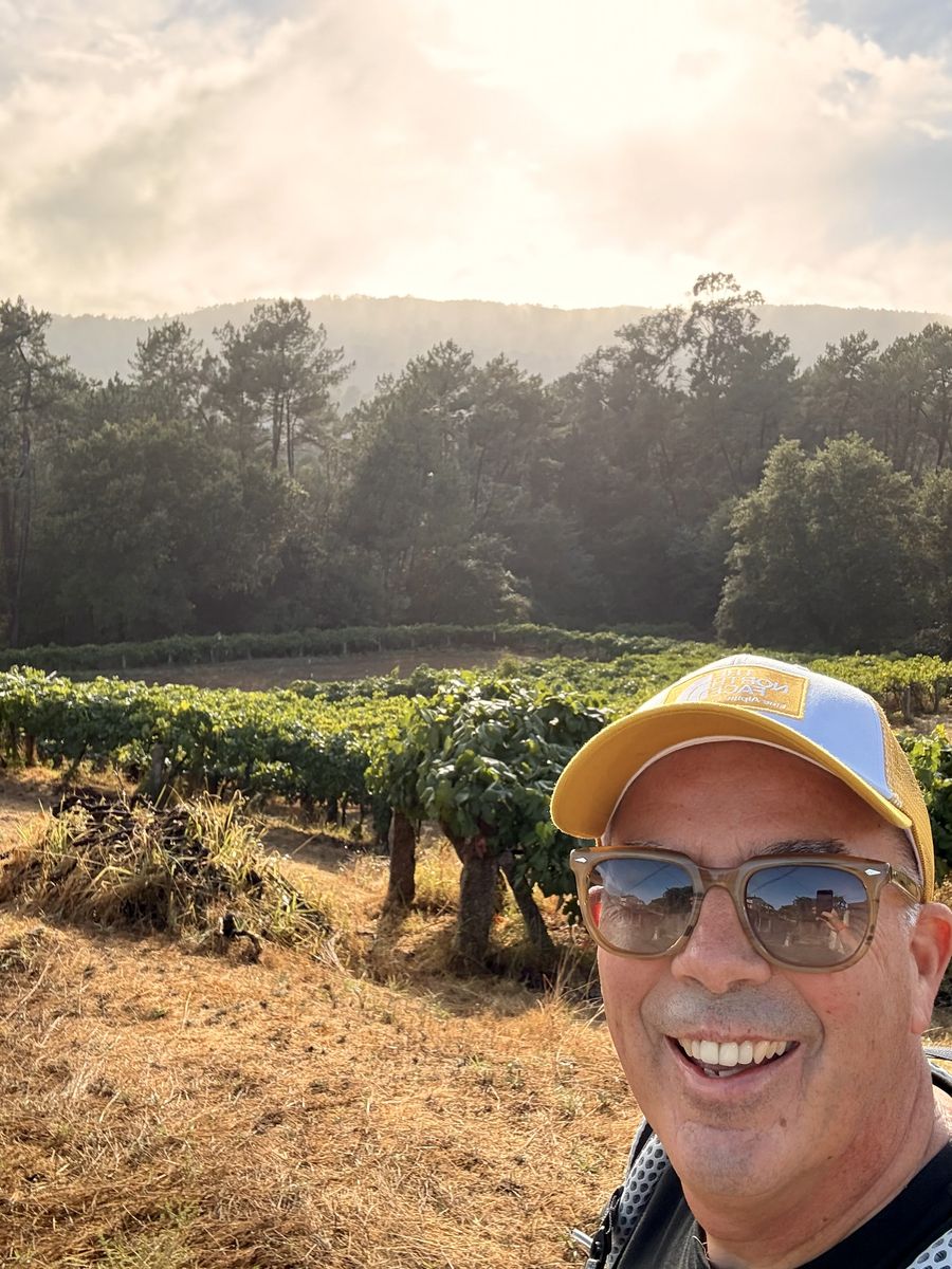 Golden hour in a Galician vineyard