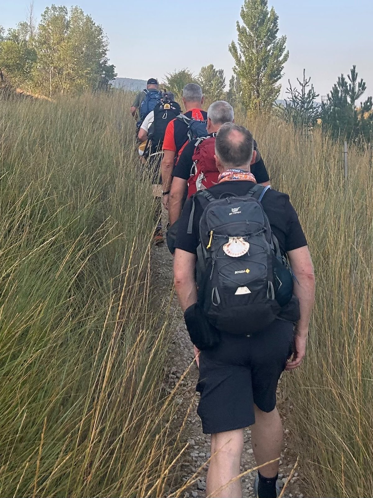 A line of walkers following the trail, scallop shell on a backpack